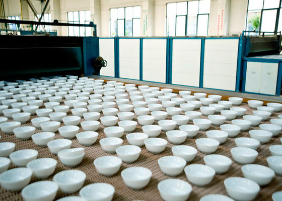 acheter Opal Glass Plate résistant à la chaleur installation de transformation en verre de 12 pouces online manufacture